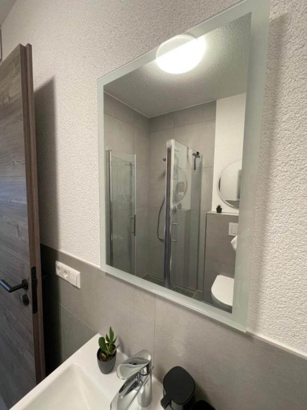 Kylpyhuoneessa on suuri peili, suihkukaappi, pesuallas, jossa on ruukussa oleva kasvi, ja wc.