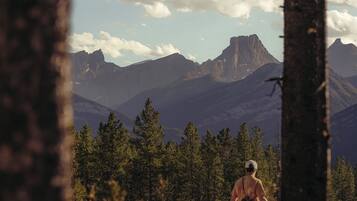A man walking in a forested area with mountains in the background.