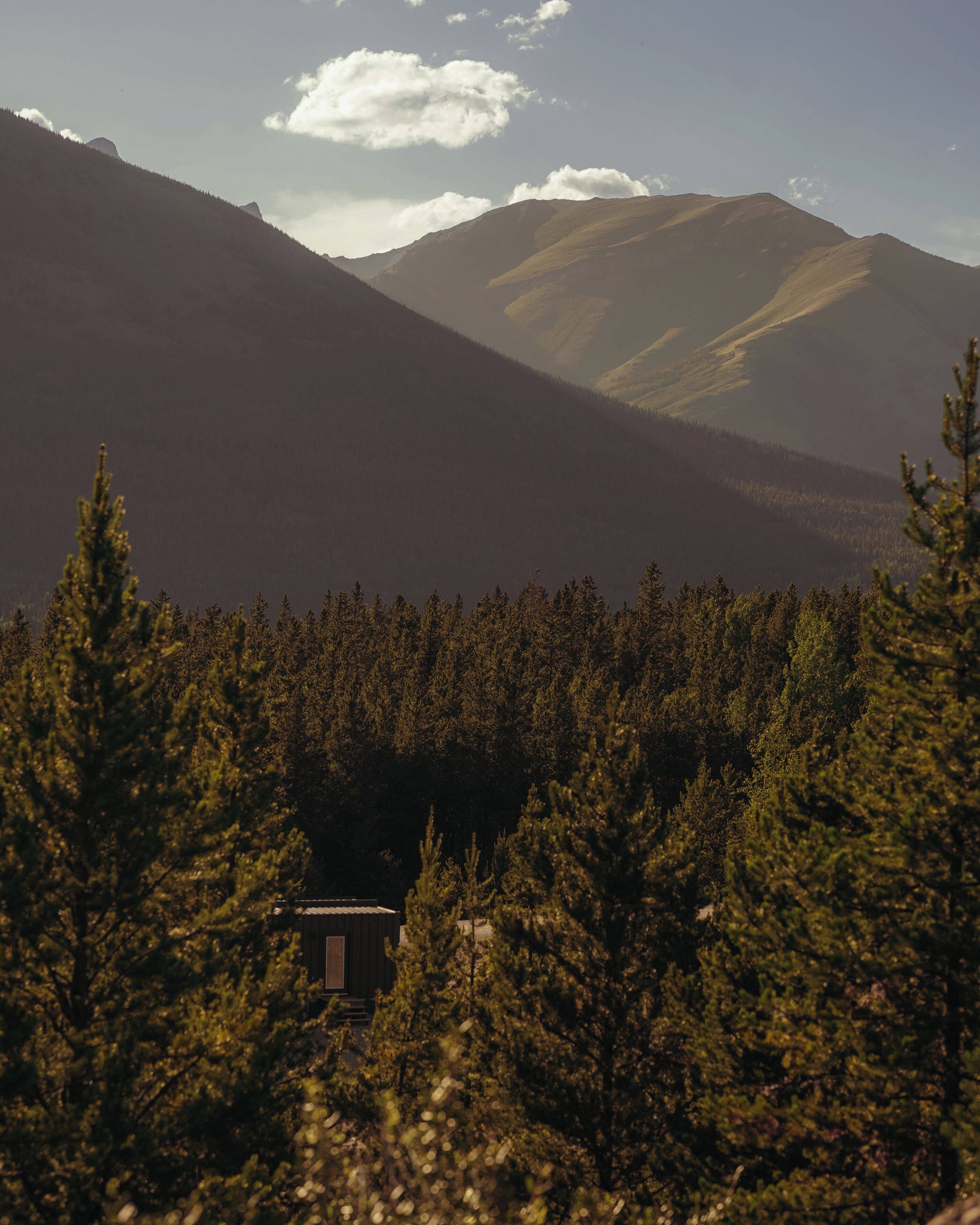 A cabin surrounded by dense forest and mountains.