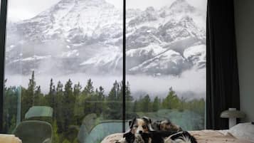 Design Cabin, Pets allowed, Mountain View | Hypo-allergenic bedding, pillow-top beds, in-room safe, free WiFi