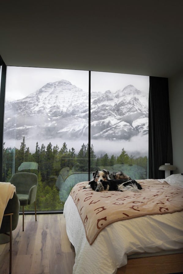 Design huisje, huisdieren toegestaan, uitzicht op bergen | Hypoallergeen beddengoed, pillowtop-bedden, een kluis op de kamer