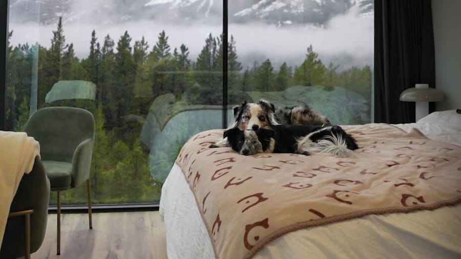 Skyridge Glamping