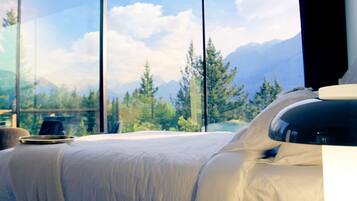 Hypo-allergenic bedding, pillow-top beds, in-room safe, free WiFi