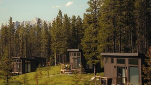 Eine moderne Holzhütte mit einer Terrasse und einer Glashausauslage, umgeben von Wald und Bergen im Hintergrund.
