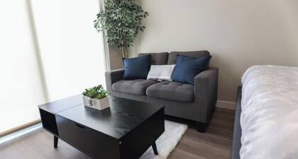 DreamStay: A dream come true