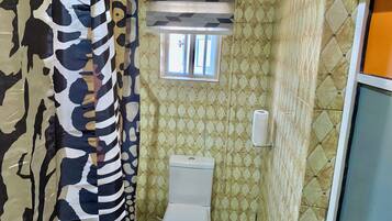 Shower, towels, soap, toilet paper