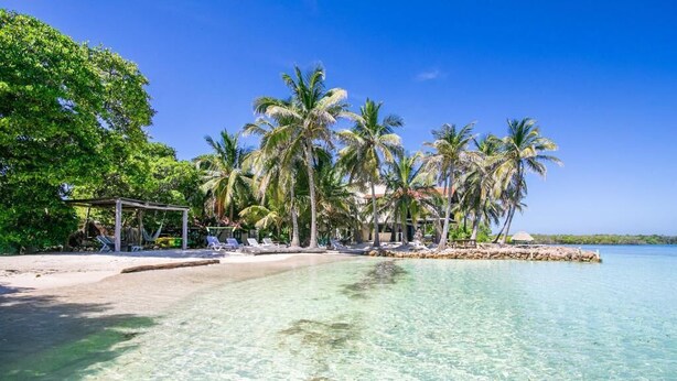 Une plage avec une eau turquoise et limpide, des palmiers et des chaises longues.