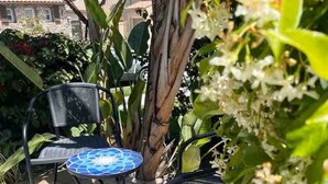 An outdoor patio with two chairs and a small round table, surrounded by lush greenery and a palm tree. - Serenity by the Lake. Beautiful neighborhood I short walk to lake and trails (Chula Vista)