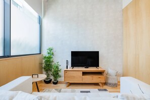 Fernseher