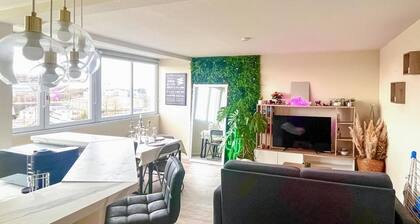 Superbe appartement T2 Ă Angers