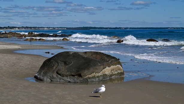 Beach - Located just steps from Wells Beach, Eastwinds 123 is perfect for your getaway. (Wells)