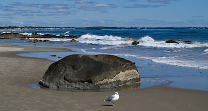 Located just steps from Wells Beach, Eastwinds 123 is perfect for your getaway.