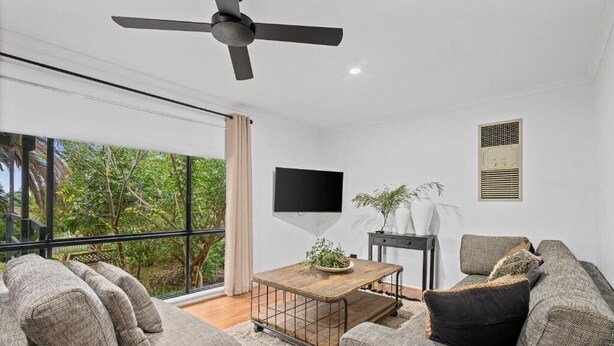 A modern living room with a large window, a ceiling fan, a flat-screen TV, and a coffee table with a plant.