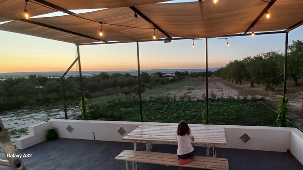 A covered outdoor area with a table and benches, overlooking a vineyard.