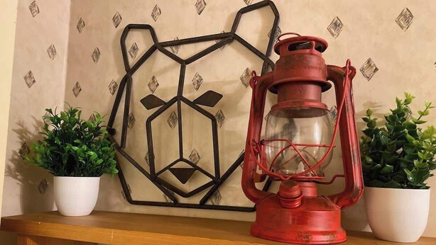 Una lanterna rossa su uno scaffale di legno con due piante in vaso.