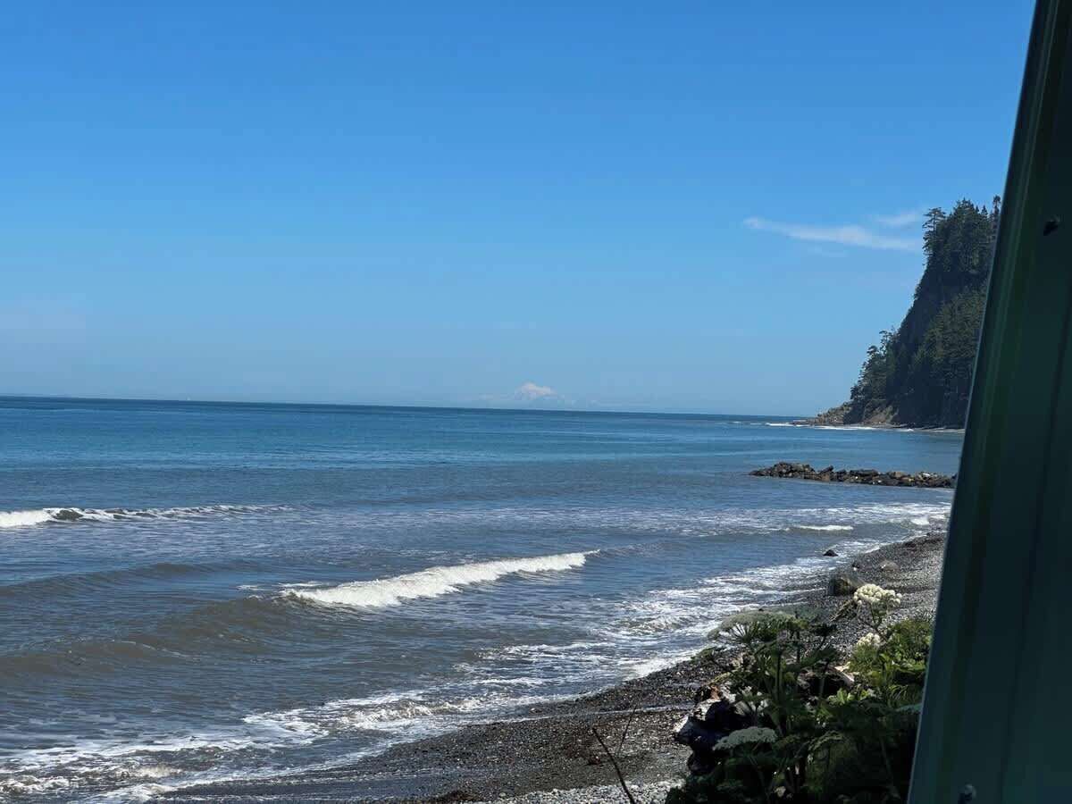 Une vue sur la côte, avec des vagues, une côte rocheuse et une falaise boisée.