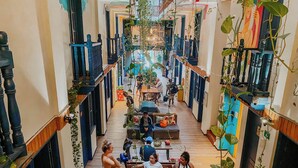 Un estrecho pasillo interior con suelo de madera, varias zonas de estar y plantas colgantes.
