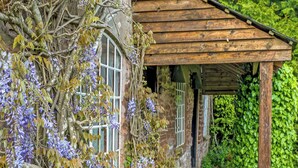 A rustic stone building with a wooden porch, a bench, and a wisteria vine.