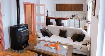 Cozy apartment in Srb with WiFi