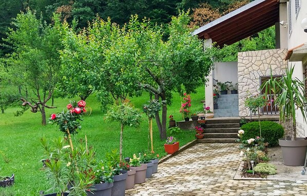 Terrein van de accommodatie