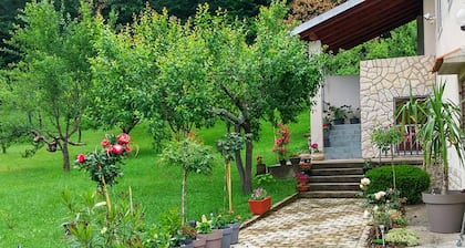 Cozy apartment in Srb with WiFi