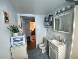 Bathroom - 2-bedroom house in lovely Marlborough with AC and comfort (Marlborough)