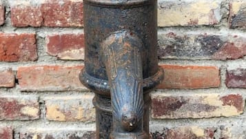 Miscellaneous