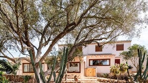 A building with a stone facade, a wooden door, and a garden with cacti and trees. - Country House 'Ses Cases' with Mountain View, Private Pool and Wi-Fi (Manacor)