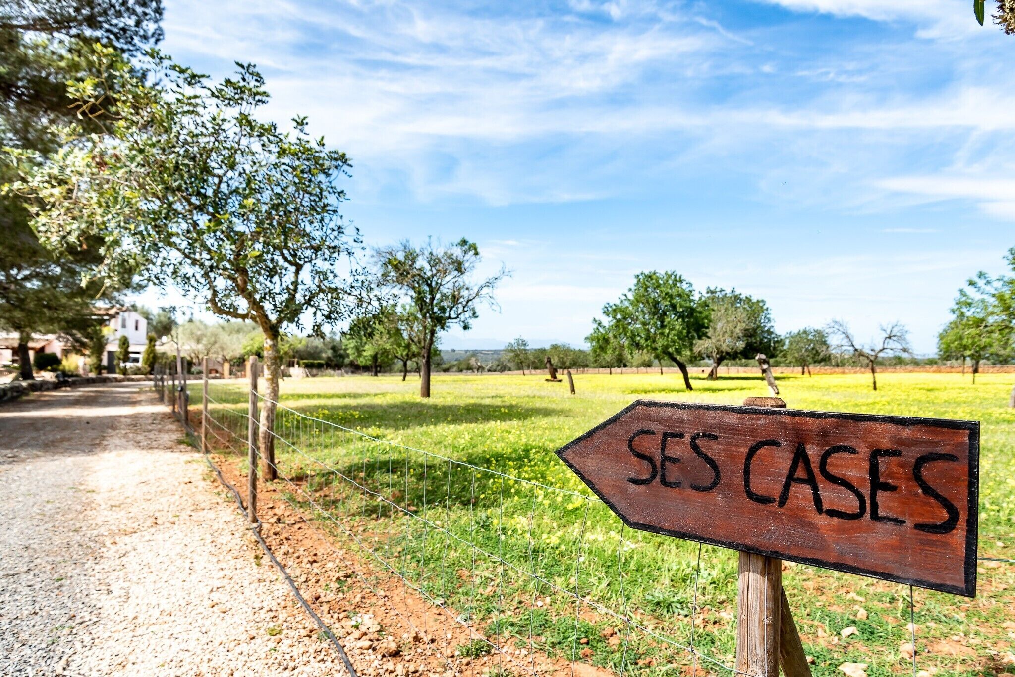 A rural landscape with a dirt path, trees, and a wooden sign with 'SES CASES' written on it.
