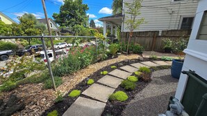 Un jardín residencial con un camino de piedra, diversas plantas y una cerca de madera.