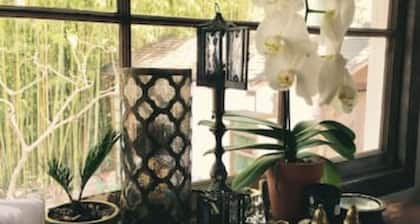 Funky, old, busted but charming: 3 bedroom house w WiFi, in lovely Santa Barbara