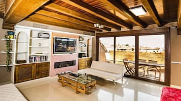 TV, fireplace, video games, DVD player