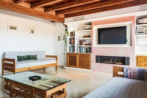 TV, fireplace, video games, DVD player