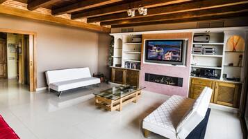 Televisie, een open haard, videospelletjes en een dvd-speler