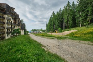 Terrain de l’hébergement 