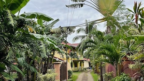 A pathway leading to a house surrounded by lush greenery and banana trees. - South Villa Apartelle Panglao Bohol (Panglao)