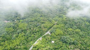 التنزّه سيراً على الأقدام