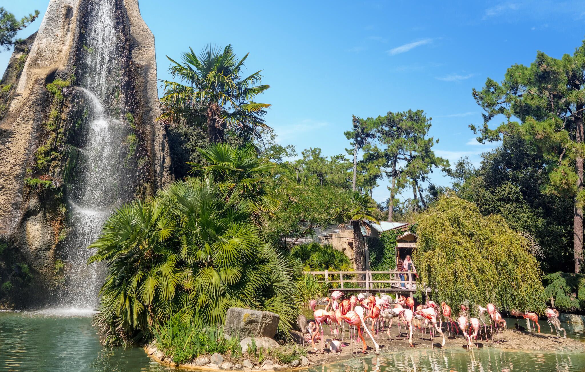 A waterfall, a pond with flamingos, and a wooden structure.