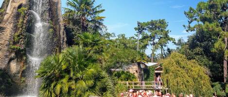 A waterfall, a pond with flamingos, and a wooden structure.