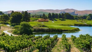 Ein Weinberg mit Golfplatz und einem See im Hintergrund.