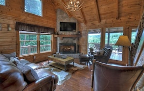 Smart TV, fireplace, DVD player, books
