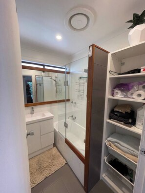 Shower, hair dryer, soap, toilet paper