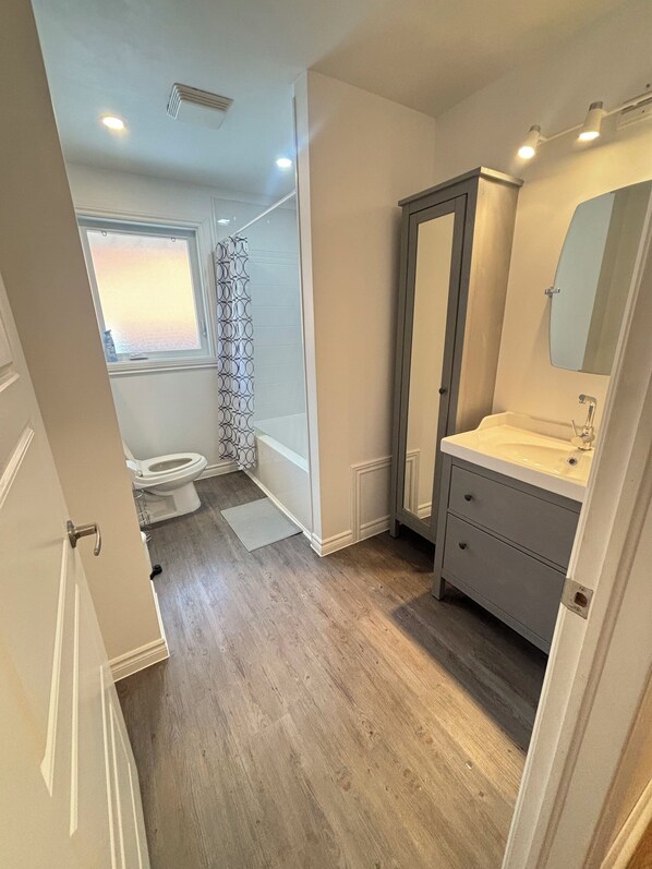 Hair dryer, towels, soap, toilet paper