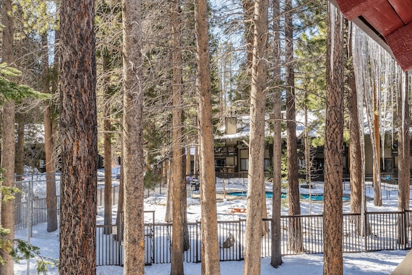 A snow-covered outdoor area with tall trees and a fenced pool. - Sunshine Village #108- 1 +Loft , Sleeps 6.  Steps from Free Town Shuttle ,Dog Friendly (Mammoth Lakes)