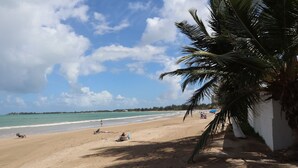 A beach with palm trees, a clear sky, and a calm sea. - Studio 2 minute walk to Isla Verde beach (Carolina)