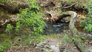 Un cadre naturel en plein air, avec un ruisseau, des rochers et de la végétation.