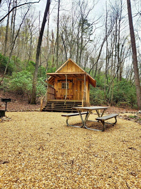A rustic wooden cabin with a porch and a picnic table in a forested area. - Raelean - A unique off-grid tiny cabin (Anniston)