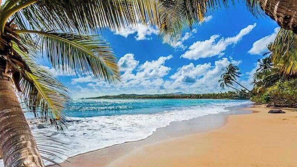 A beach with clear blue water, sandy shore, and palm trees. - Lakeside Escape | Stylish Unit with BBQ and Pool (Humacao)