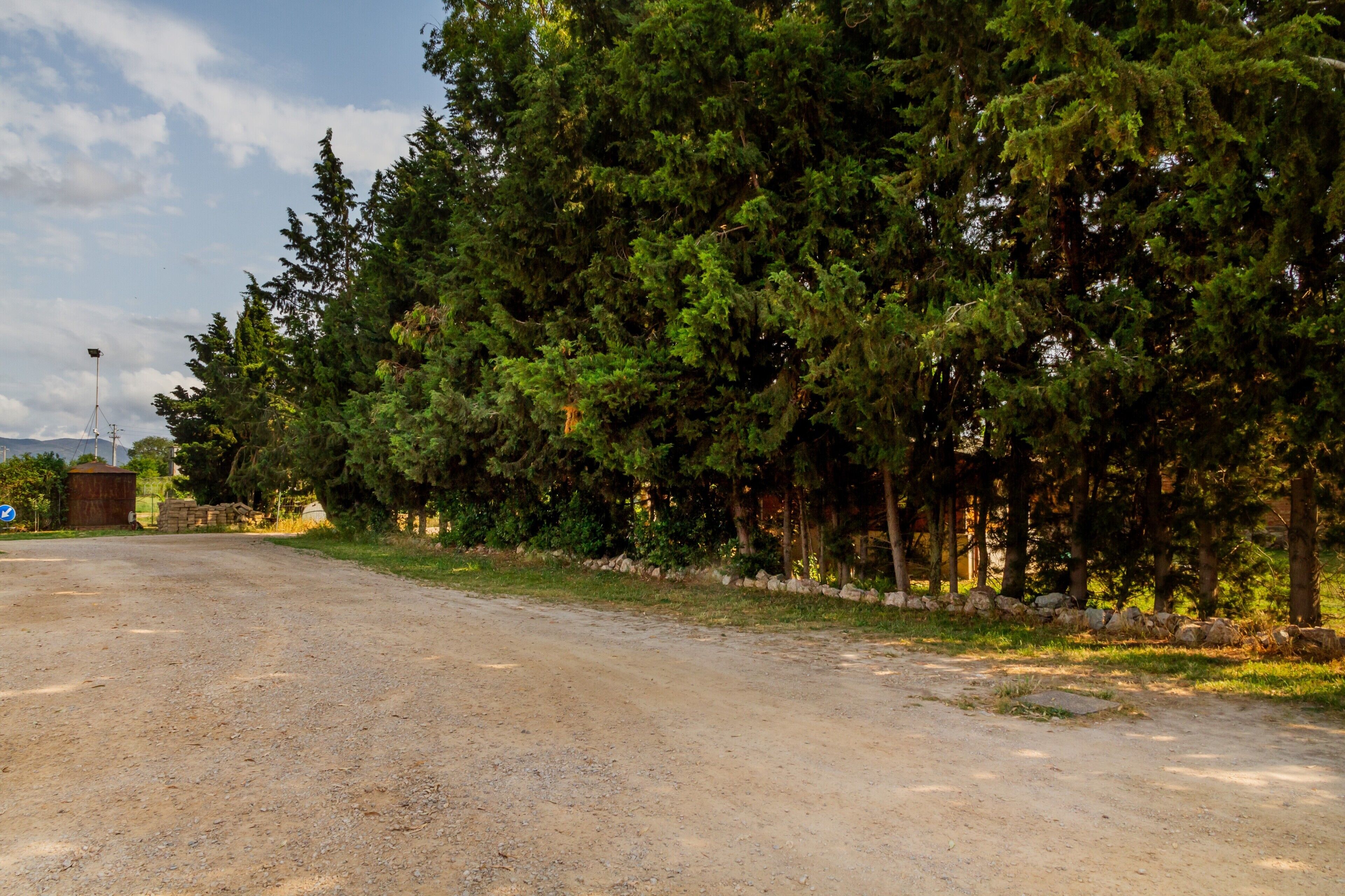 A gravel road with dense trees on one side and a metal structure in the distance.