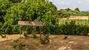 A garden area with a wooden sign, green foliage, and a fenced area. - Apartment 'Amelia' with Shared Pool, Wi-Fi and Air Conditioning (Grosseto)